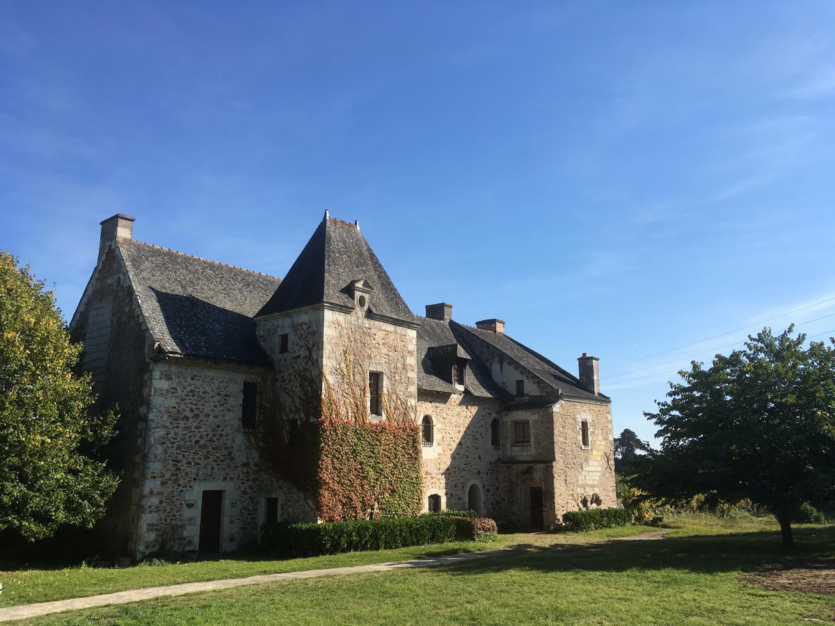 לינה וארוחת בוקר Blaison Manoir De Jouralem מראה חיצוני תמונה