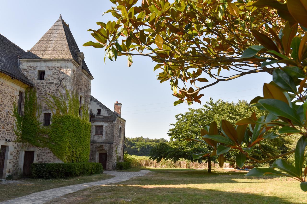 לינה וארוחת בוקר Blaison Manoir De Jouralem מראה חיצוני תמונה